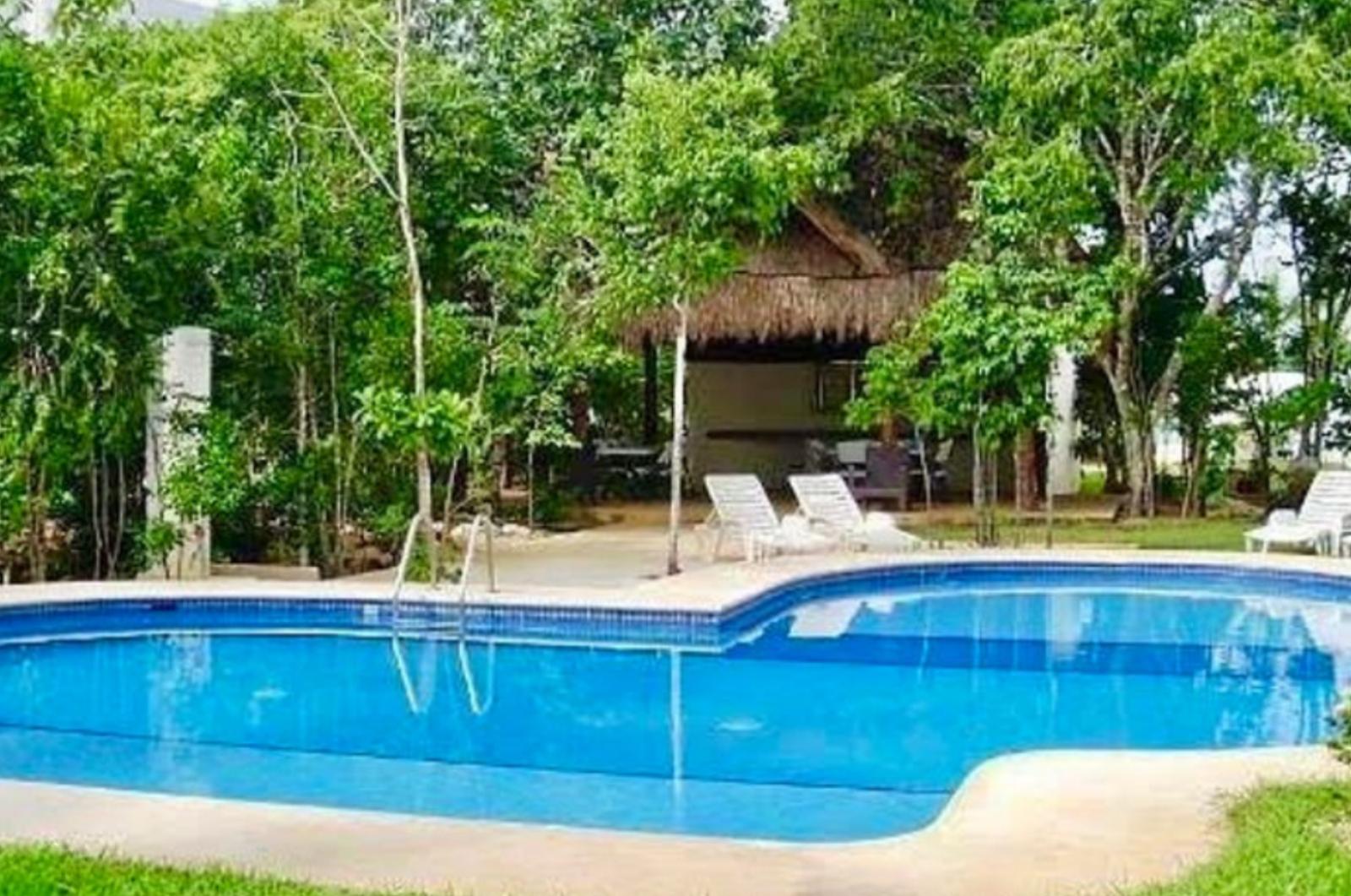 Property view 3