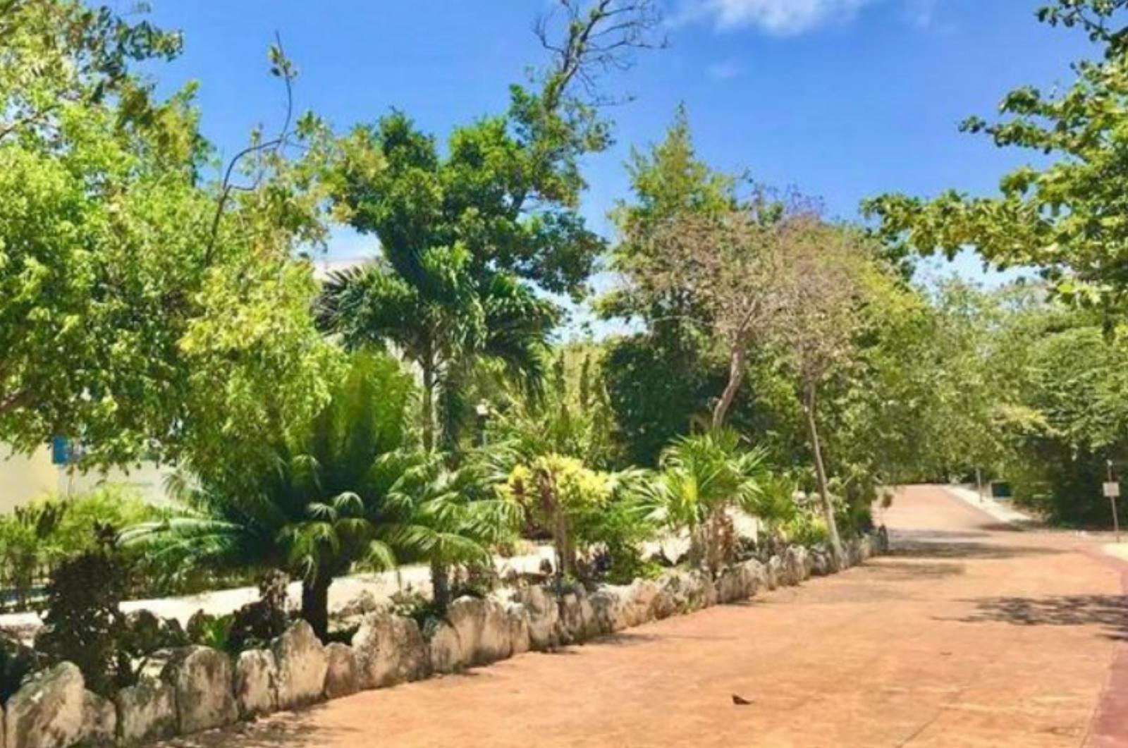 Property view 2